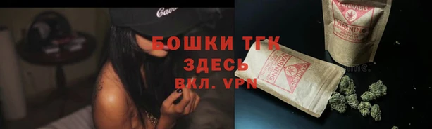 прущий лед Абаза