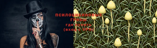 прущая мука Рославль
