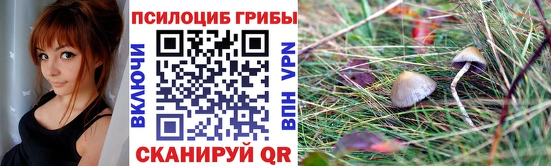 Псилоцибиновые грибы Psilocybine cubensis  Томари 